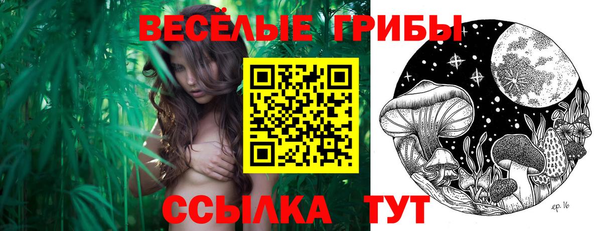 Псилоцибиновые грибы прущие грибы Полевской